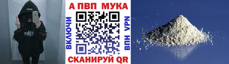 A PVP СК Судогда