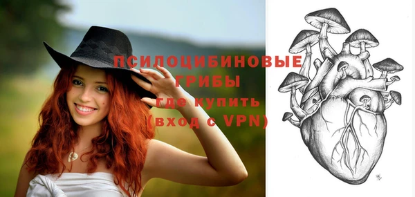 прущие крисы Иннополис