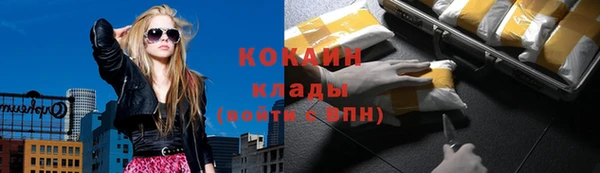 трава Каменногорск