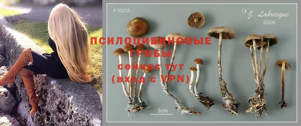 трава Каменногорск