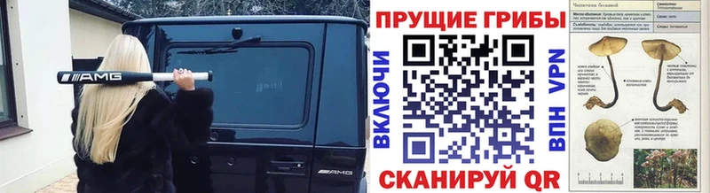 Галлюциногенные грибы MAGIC MUSHROOMS  наркотики  Судогда 