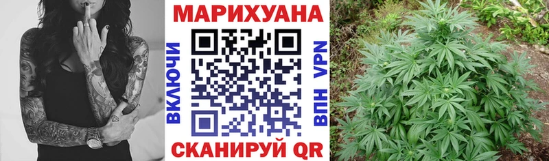 mega онион  Судогда  Бошки Шишки Amnesia 